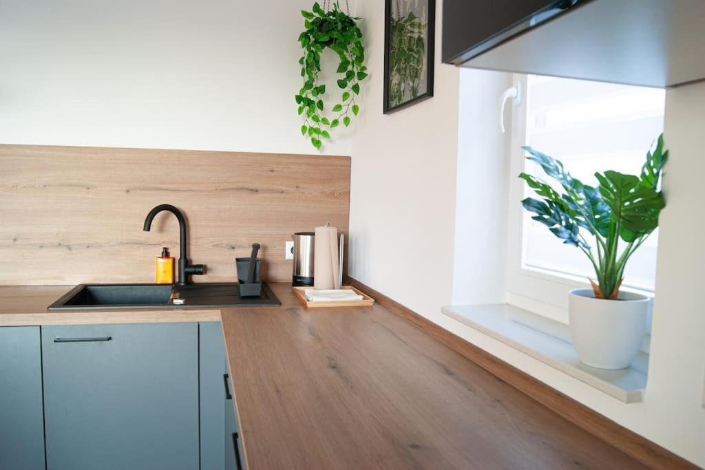 Studio Apartment Marbach Marbach am Neckar Ngoại thất bức ảnh